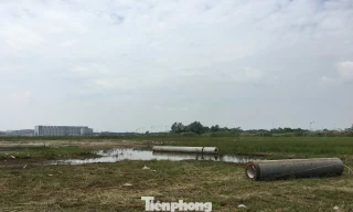 Cách nào giảm thuế sử dụng đất cho người dân?