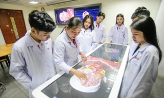 Ngưỡng bảo đảm chất lượng đầu vào nhóm ngành Sức khỏe ở phía Nam