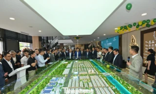 Diễn biến lạ trên thị trường đất nền