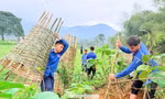 Tuổi trẻ Nghệ An trồng hàng nghìn cây xanh đầu xuân