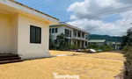 Trạm kiểm dịch động vật xây xong bỏ hoang, thành nơi phơi lúa