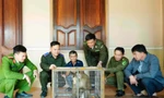 Phát hiện cá thể khỉ đuôi lợn tại vườn, người đàn ông bắt rồi đưa đi giao nộp