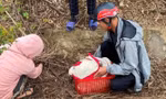 Bé gái sơ sinh bị bỏ rơi dưới rãnh mương trong thời tiết giá rét