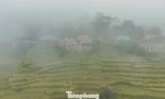 'Sa Pa xứ Thanh' mờ ảo trong sương mù