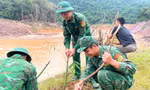 Trồng tre chống sạt lở, giúp dân bản biên giới có sinh kế phát triển kinh tế