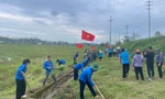 Tuổi trẻ Nghệ An hưởng ứng Ngày Chủ nhật Xanh