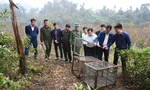 Thả 12 cá thể động vật quý hiếm về rừng
