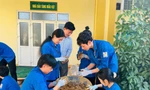 Thanh niên Hà Tĩnh chung tay làm 'bom hạt giống' để tái sinh rừng 