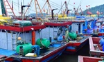 Quảng Ninh, Nghệ An, Hà Tĩnh, Thanh Hóa cấm biển ứng phó bão số 10 Bualoi