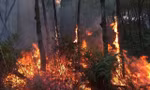Sét đánh gây cháy rừng thông, hàng trăm người lao vào dập lửa