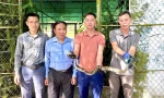 Trăn quý hiếm mắc lưới tại vườn nhà dân