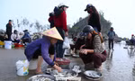 Mở biển lấy lộc, chợ hải sản ven biển nhộn nhịp ngày đầu năm