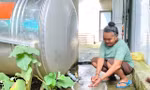 Hàng chục nghìn hộ dân Nghệ An được hỗ trợ nước sinh hoạt