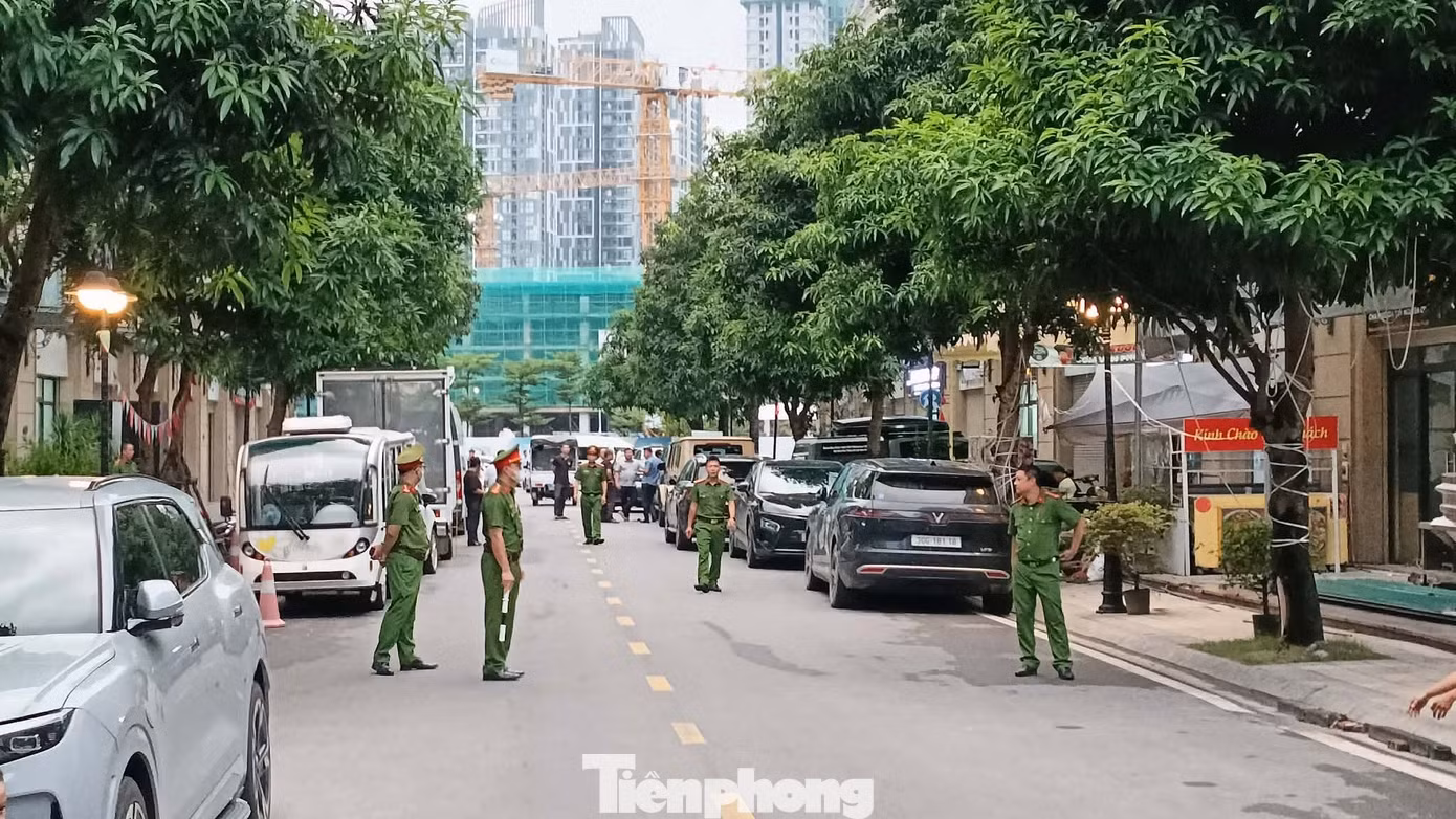 tp-c_hhh1.jpg