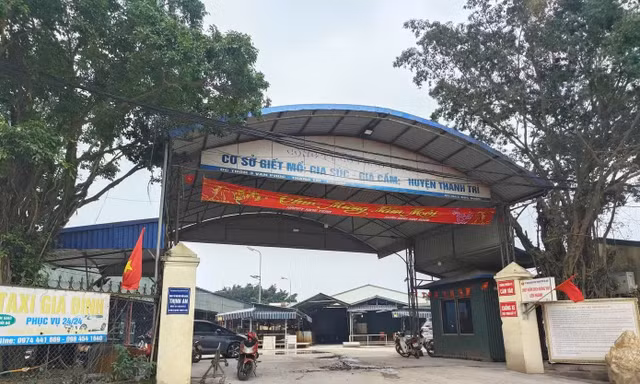 Bộ GD&ĐT yêu cầu kiểm tra suất ăn học đường trên toàn quốc