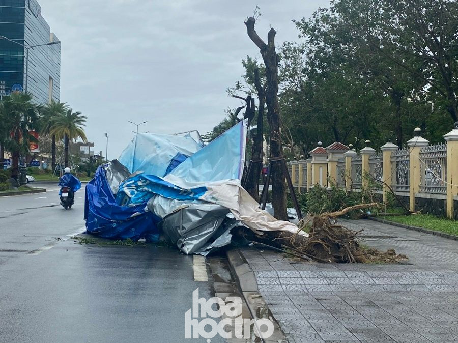 Các biển hiệu bị gió lớn thổi bay xuống đường. Thừa Thiên - Huế: Trạm xe buýt bị hư hại, cây xà cừ trăm tuổi bật gốc vì bão số 13 ảnh 3