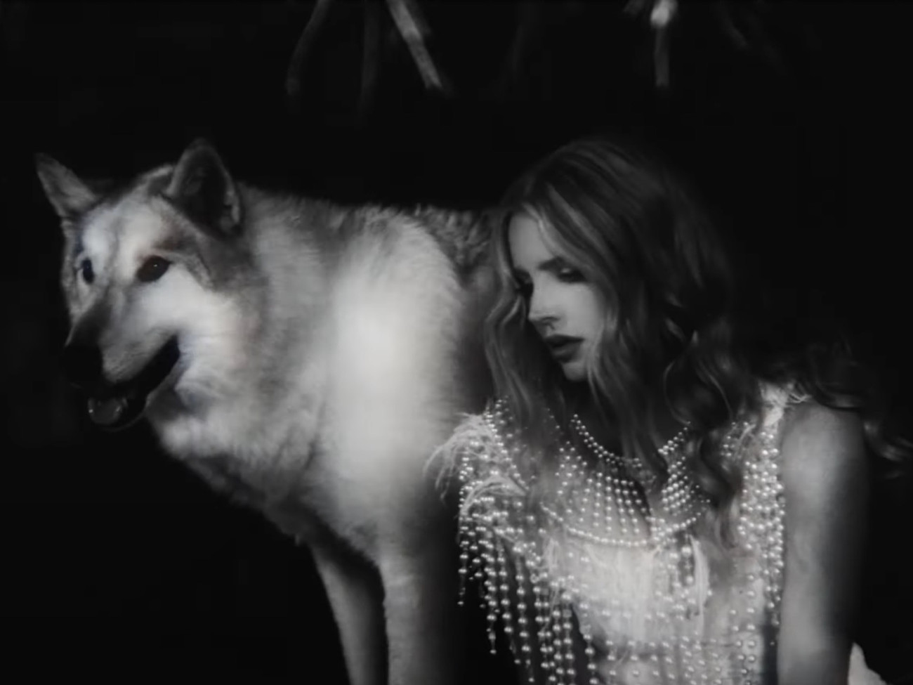 Kết thúc MV, Lana Del Rey hóa sói trong sự hoang mang của khán giả. Hãy đội mũ bảo hiểm khi xem MV mới của Lana Del Rey: Bẻ lái cực gắt khiến fan “hết hồn” ảnh 1