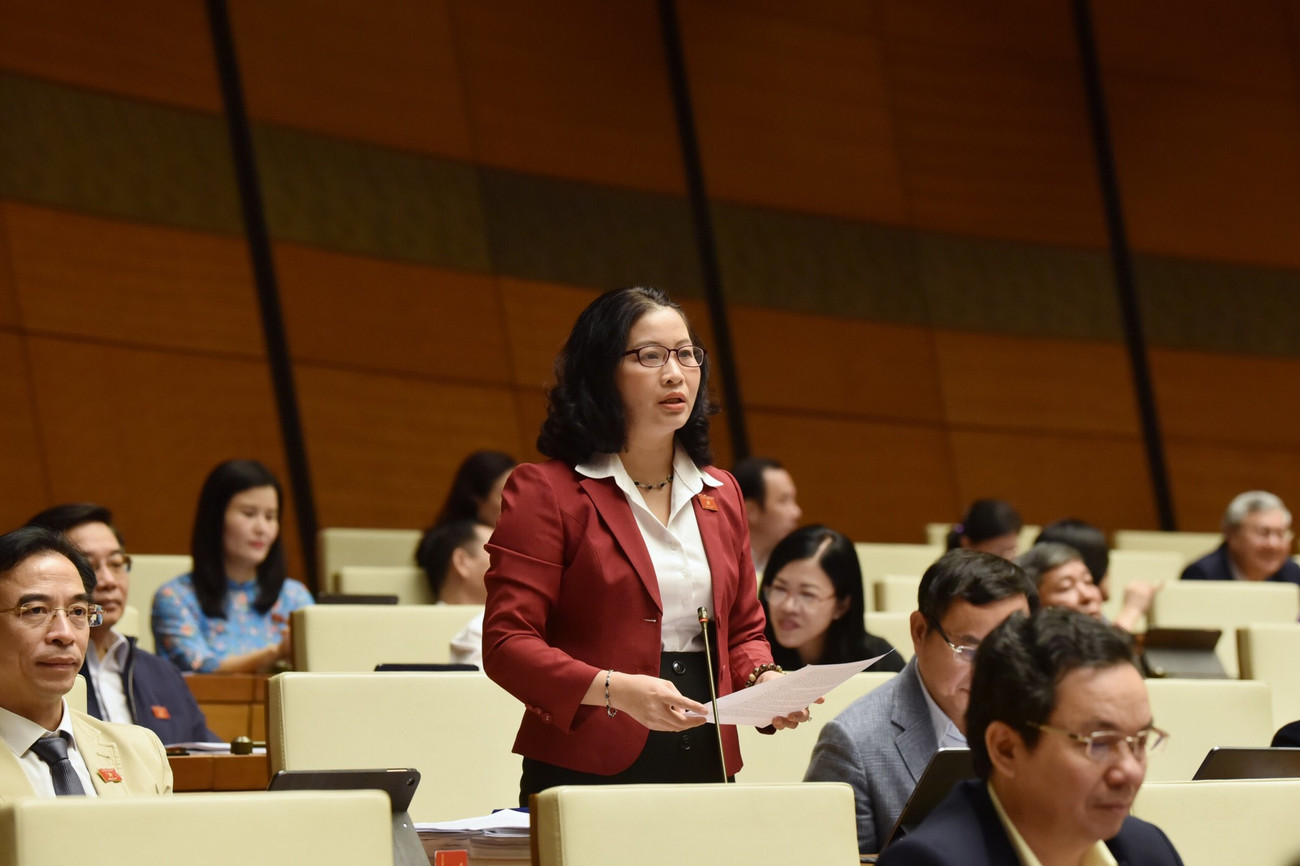 Bà Nguyễn Thị Lan, đại biểu Quốc hội đoàn Hà Nội phát biểu tại phiên thảo luận sáng 3/11. Thành lập doanh nghiệp khởi nguồn công nghệ trong trường đại học ảnh 1