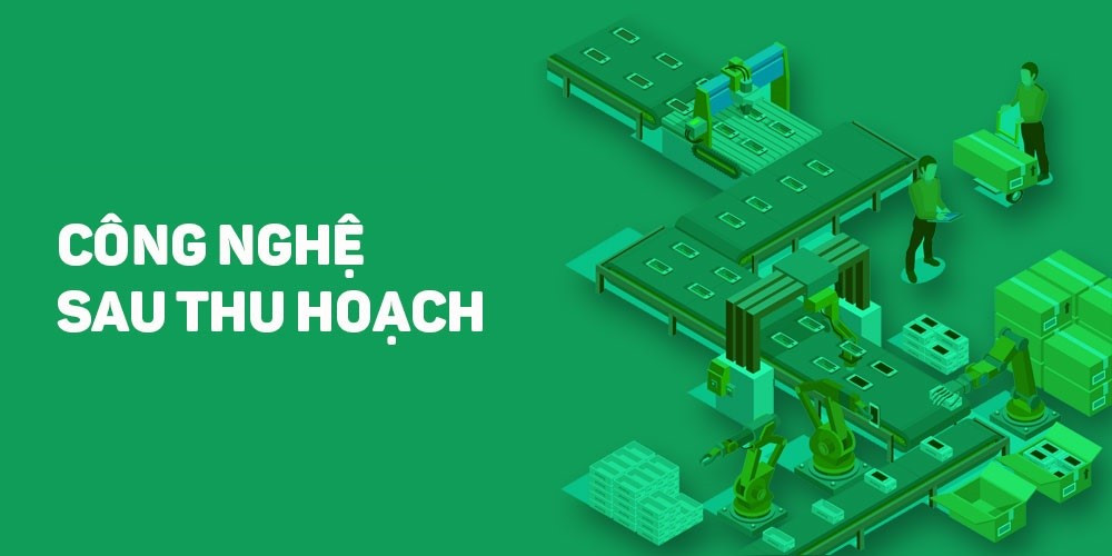 Ngành học Công nghệ Sau thu hoạch cam kết việc làm cho sinh viên ảnh 1