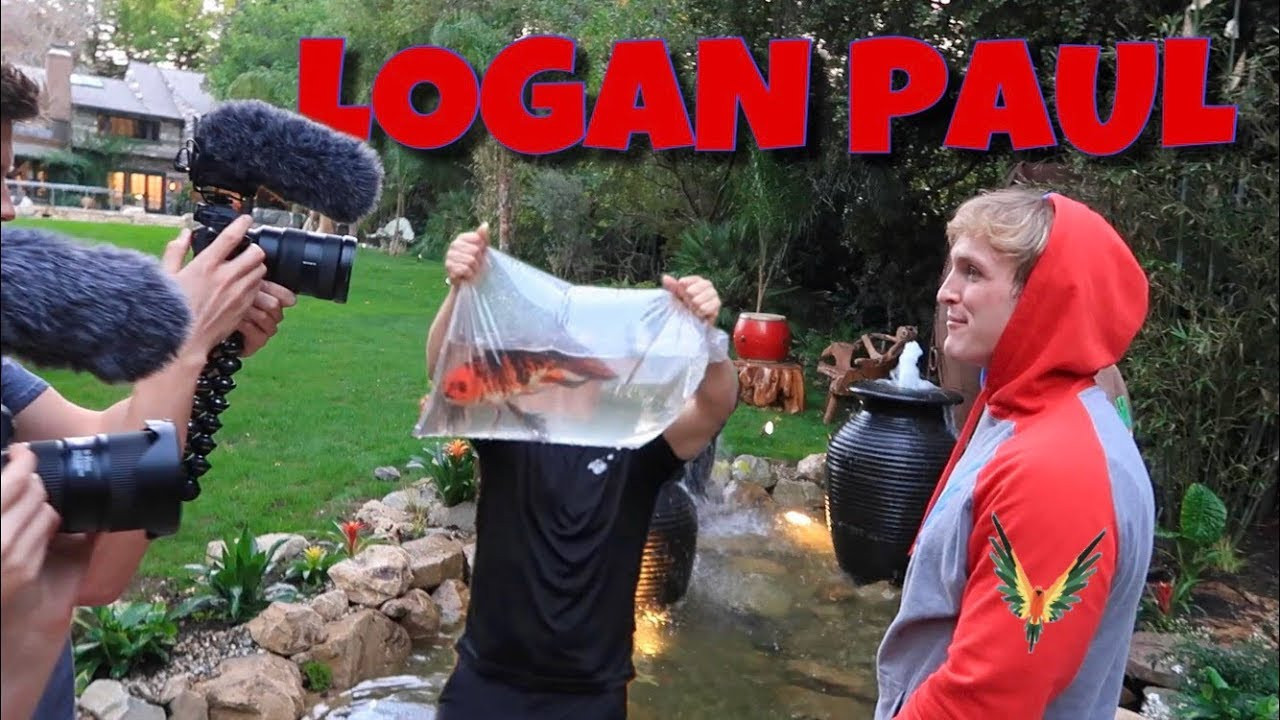 Sau đó, Logan Paul tiếp tục tung ra những video phản cảm như vớt cá ra khỏi hồ và đùa rằng sẽ cấp cứu nhân tạo cho con cá, hay hành hạ một con chuột bằng roi điện. YouTuber nổi tiếng Jake Paul bị chỉ trích, NTN Vlogs bỗng dưng bị dân mạng réo tên ảnh 5