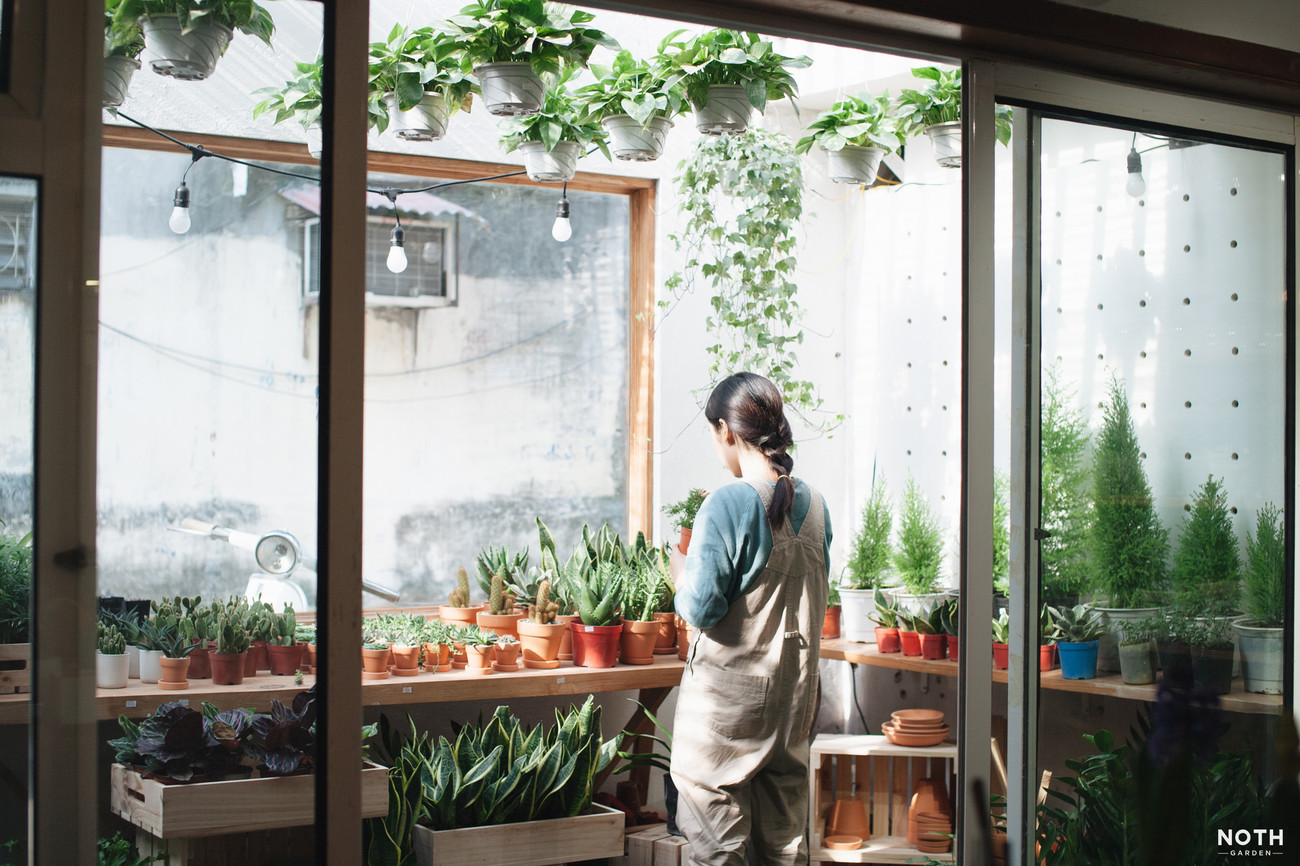 NOTH Garden - những người gieo mầm xanh trong lòng đô thị ảnh 3 NOTH Garden - những người gieo mầm xanh trong lòng đô thị ảnh 3