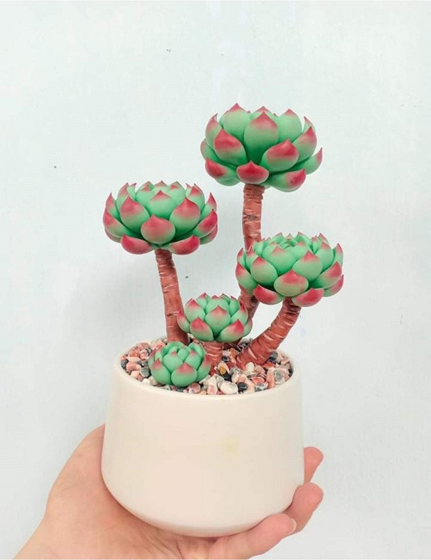 Một sản phẩm "sen đá đất sét" của Dung. (Ảnh: Đoàn trường) “Vườn sen đá” của Dung ảnh 2