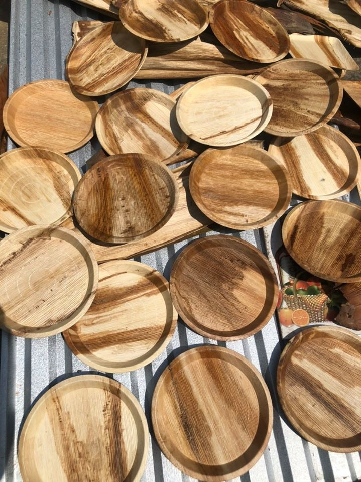 Những chiếc dĩa từ mo cau của Tuyến Biến mo cau thành... tiền ảnh 3