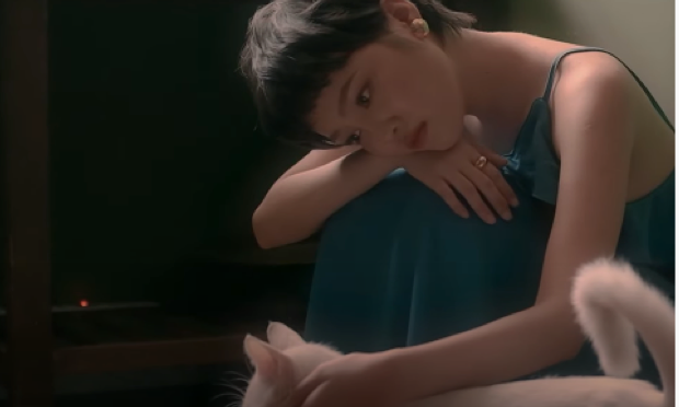 "Bạn diễn" của Đặng Thái Bình trong MV là một chú mèo đáng yêu Đặng Thái Bình - trò cưng của Tóc Tiên làm MV với chi phí vỏn vẹn 30 triệu đồng ảnh 4