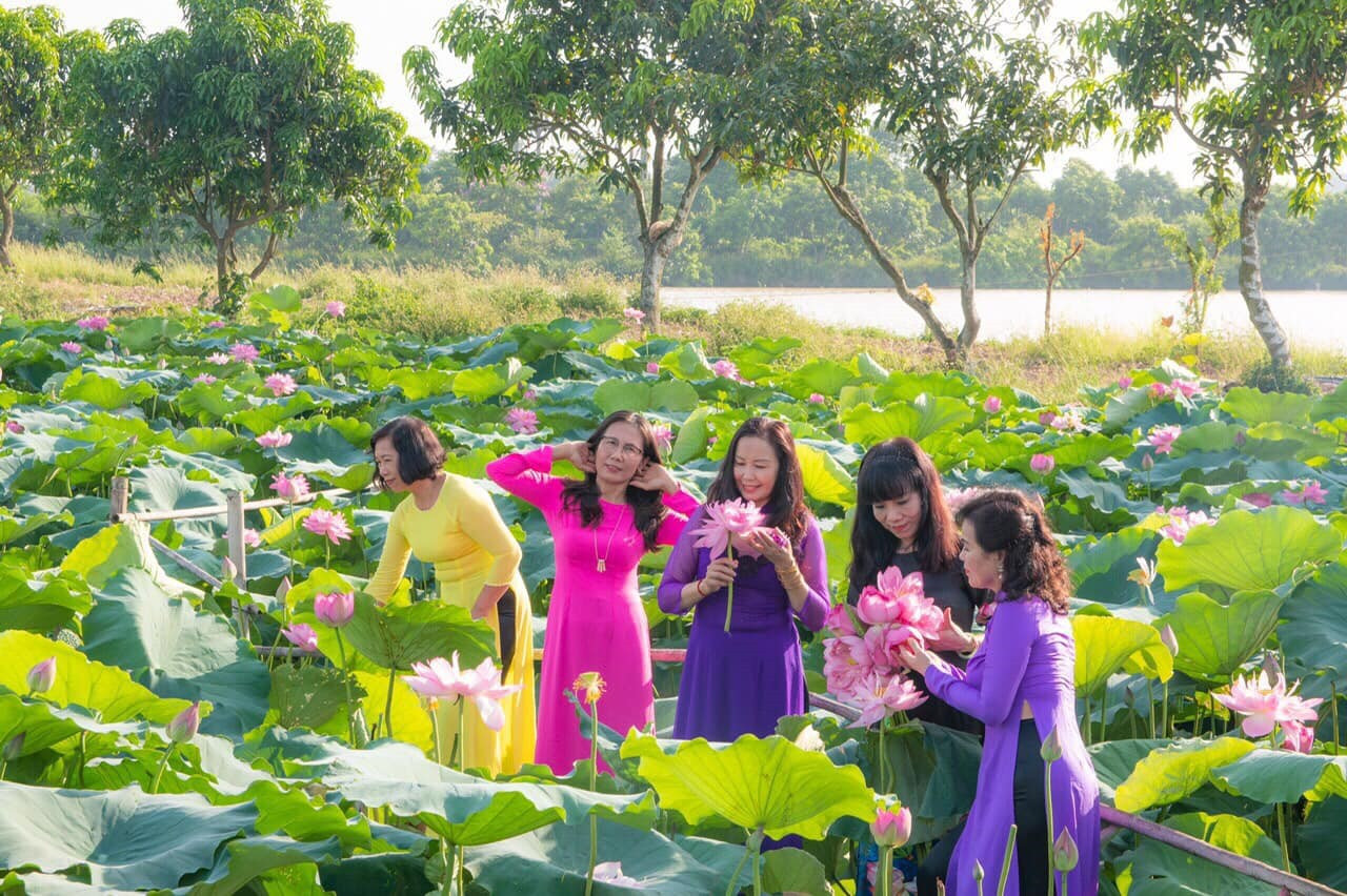 Không chỉ thu hút giới trẻ, đầm sen tại Học viện Nông nghiệp cũng là địa điểm check-in lý tưởng cho các cô, các dì đến đây ghi lại những khoảnh khắc đẹp nhất trong tà áo dài tươi trẻ, đủ màu sắc. Muôn kiểu sắc màu hoa sen tại khuôn viên giảng đường rộng nhất Việt Nam ảnh 10