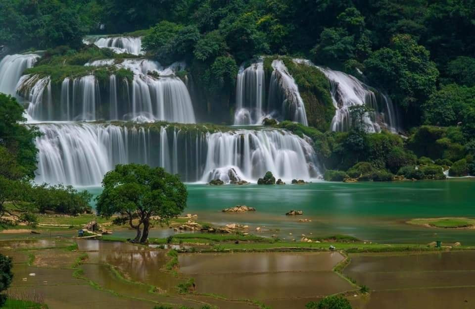 Thời gian này, bà con bắt đầu dẫn nước từ thác phụ vào cánh đông, đây là thời điểm duy nhất trong năm các bạn được chiêm ngưỡng một hình ảnh thác Bản Giốc soi bóng gương trời mùa hạ. Ảnh: Lê Huy. Dịch vụ chèo thuyền ở thác Bản Giốc đem lại trải nghiệm chân thực và mới mẻ. Ảnh: Thượng Đinh. Bản Giốc là sự lựa chọn tuyệt vời để "trốn" khỏi Hà Nội vào những ngày cuối tuần cùng bè bạn sau những ngày học tập, làm việc căng thẳng. Ảnh: Thượng Đinh. Trên đường vào thác, chúng ta không nên bỏ lỡ động Ngườm Ngao với những nhũ đá và măng đá phong phú hình dạng, huyền bí. Ảnh: Trần Gấm. Đã có cơ hội tới thác Bản Giốc nhất định phải ghé thăm chùa Phật Tích cách đó 500m, chùa tọa lạc giữa núi non mây trời hùng vĩ trùng điệp với cảnh đẹp như tranh vẽ. Ảnh: Đinh Hưởng. Sau 1 ngày dài khám phá thiên nhiên nơi đây, các bạn có thể về nghỉ ngơi tại những homestay đậm chất văn hóa địa phương chỉ với giá chỉ từ 150.000đ – 350.000đ/đêm. Bên cạnh đó là những hoạt động khác như trải nghiệm ẩm thực dân tộc, BBQ ngoài trời hay party “quẩy” giữa núi rừng Tây Bắc. Ảnh: Internet. Đến với Bản Giốc, các bạn sẽ được thưởng thức các đặc sản cực kì hấp dẫn với cá trầm hương, vịt quay 7 món, bánh khảo,.. và quà mang về cho bạn bè người thân như hạt dẻ hay các loại chè. Ảnh: YouTube VTV. Một số lưu ý cho các bạn đi du lịch Bản Giốc vào mùa này: - Nên theo dõi thời tiết trước khi tới thác vì có thể có những cơn mưa bất chợt - Mang giày thể thao mềm dễ dàng di chuyển - Tìm hiểu kĩ về đường xá, phương tiện đi lại tránh mất thời gian lạc đường Chúc các bạn có chuyến đi vui vẻ và thú vị! Địa điểm tránh nóng cực chất giữa mùa Hè nóng bức ảnh 2