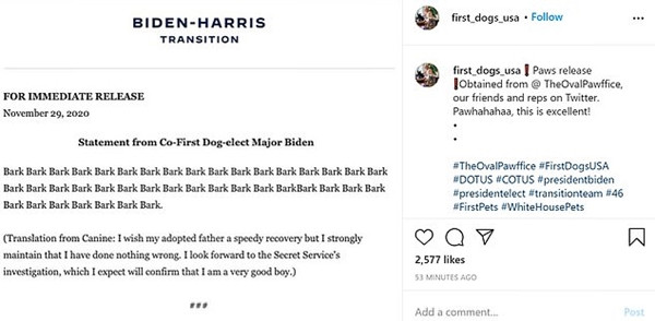 Cư dân mạng bật cười trước "bức thư" toàn chữ "bark" (gâu gâu) của chú chó Major. Ảnh: Instagram. Chó cưng của ông Joe Biden đăng “tâm thư” xin lỗi vì khiến ông bị thương, ai cũng bật cười ảnh 4