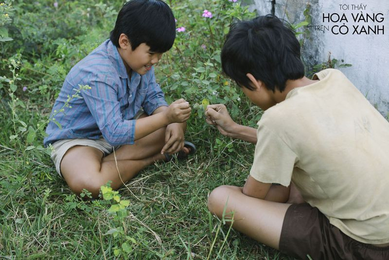 Tôi mang chú chim sẻ bị thương về nhà chăm sóc, hy vọng chú mau khỏe và bay trở lại. (Ảnh minh họa: Phim "Tôi Thấy Hoa Vàng Trên Cỏ Xanh") Bạn đọc sáng tác: Tôi cứu một chú chim sẻ nhỏ, xây đắp êm đềm kỷ niệm tuổi thơ ảnh 2