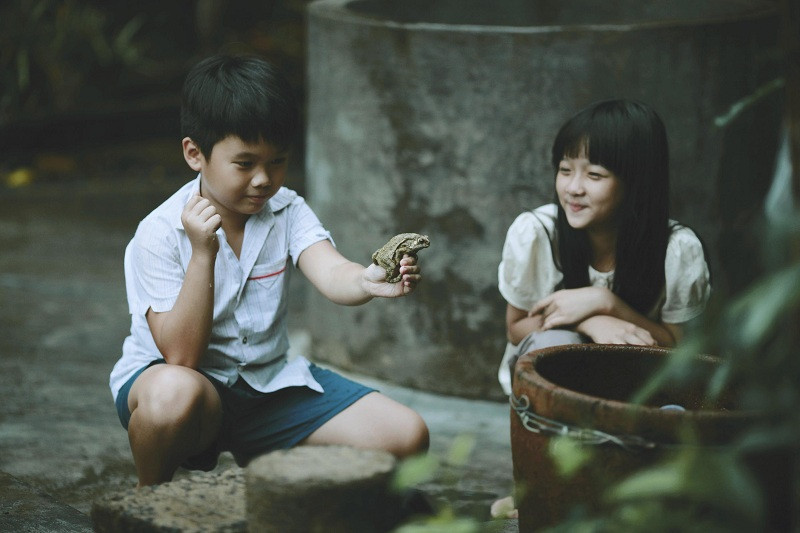 Chú chim sẻ nhỏ đã dạy cho tôi một bài học về sự chở che. (Ảnh minh họa: Phim "Tôi Thấy Hoa Vàng Trên Cỏ Xanh") Bạn đọc sáng tác: Tôi cứu một chú chim sẻ nhỏ, xây đắp êm đềm kỷ niệm tuổi thơ ảnh 5