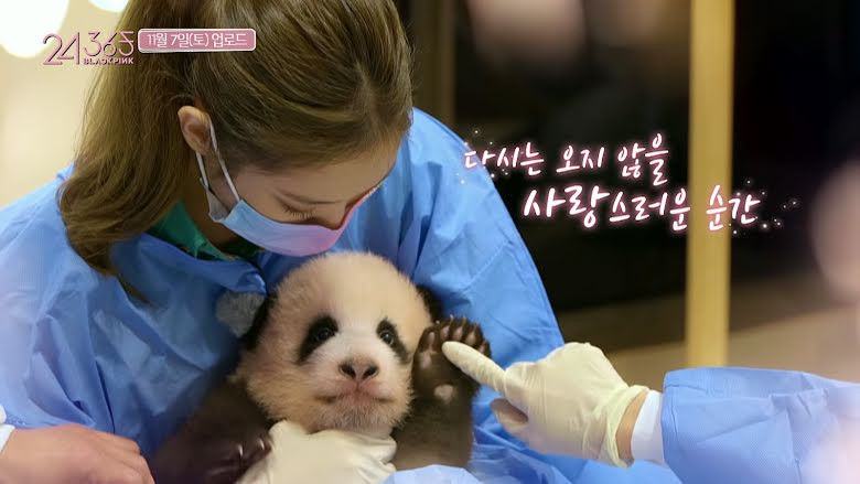 Hình ảnh này đang khiến khán giả Trung Quốc phẫn nộ Những điều từng giúp BLACKPINK tỏa sáng ở Trung Quốc nay lại thành cớ để netizen chỉ trích ảnh 2