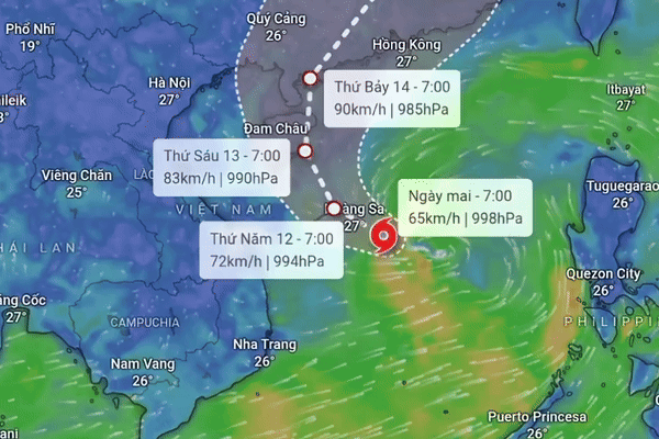 Dự báo áp thấp nhiệt đới có thể thành bão ở Biển Đông, đường đi thế nào?