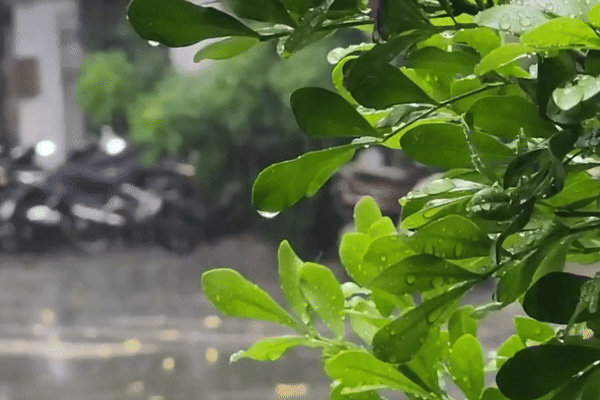 Dự báo thời tiết dịp Giỗ Tổ Hùng Vương: Trời ấm, ẩm và có mưa