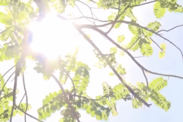 Hà Nội sắp đón nắng nóng, dự báo có thể lên tới 38 độ C