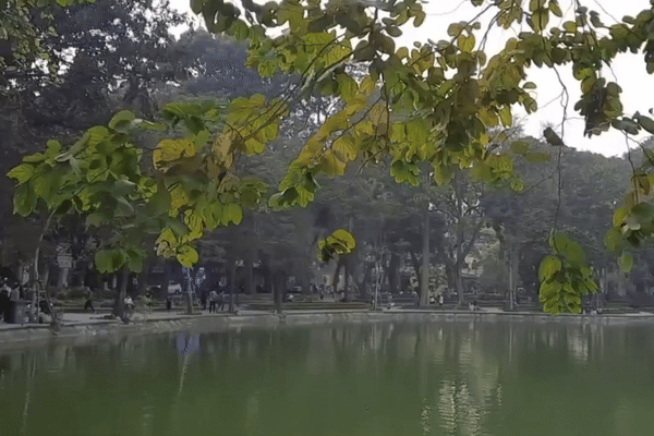 Hà Nội sắp đón không khí lạnh, thời tiết nồm ẩm tạm chấm dứt?