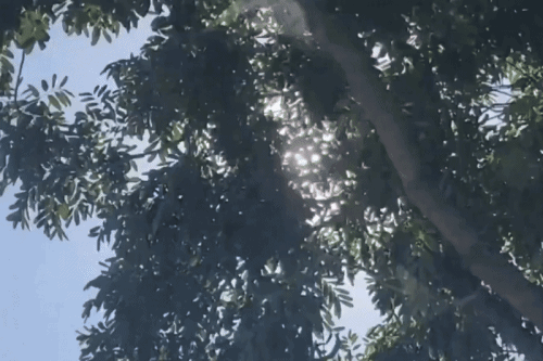 Hà Nội sắp có ngày nóng đầu tiên, nhiệt độ dự báo lên tới 30 độ C