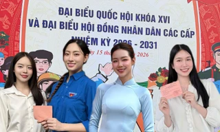 Hoa hậu Thanh Thủy, Tiểu Vy, Thiên Ân cùng tham gia Ngày hội bầu cử của toàn dân