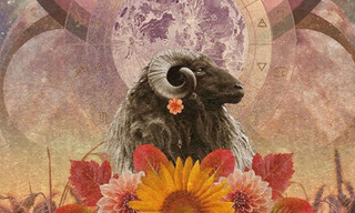 4 ngôi sao mùa Bạch Dương: Sư Tử thu hút điều tích cực, Song Tử giao tiếp mượt mà