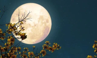 Thông điệp tháng 4: Trăng non mở ra cơ hội, Trăng tròn phơi bày sự thật khó nói