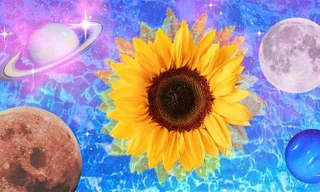 Playlist Horoscope: 12 bản hit dỗ dành các chòm sao vượt qua những ngày âm u