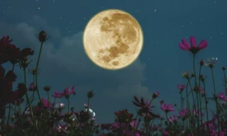 Sự kiện Trăng cực sáng tháng 11: Sự quyết đoán dẫn bạn đến kết quả tròn đầy