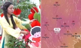 Hà Nội bắt đầu tăng nhiệt từ ngày mai, Tết có lạnh không và nhiệt độ ra sao?