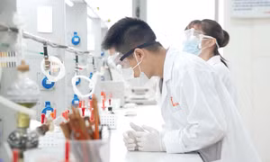 Bộ GD&ĐT vừa công bố mức điểm nhận học bổng Chính phủ 3,7-5,5 triệu đồng/tháng với 15 nhóm ngành. Ảnh minh họa