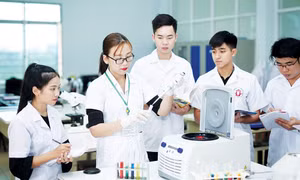 Công nghệ thông tin, AI và sử dụng ngoại ngữ trở thành tiêu chuẩn năng lực. Ảnh minh họa