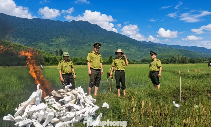 Bám đồng canh giữ chim trời