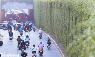 Hầm chui, trụ cầu Hà Nội trước ngày được phủ xanh cây lá