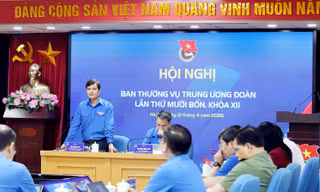 Sơ kết chiến lược phát triển thanh niên: Phát huy vai trò của thanh niên trong phát triển kinh tế – xã hội và hội nhập 